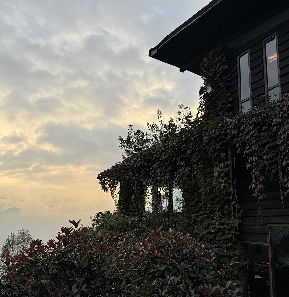 Namchi Rose Garden